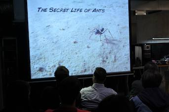 The Secret life of Ants predavanje